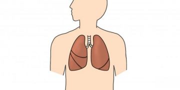 乳がん治療の名医 専門医69名 日本全国の名医 専門医一覧まとめ