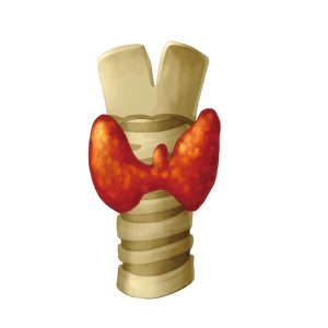 甲状腺疾患,バセドウ病,名医